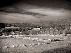 Horse Farm Stormville, NY � Dave Hickey